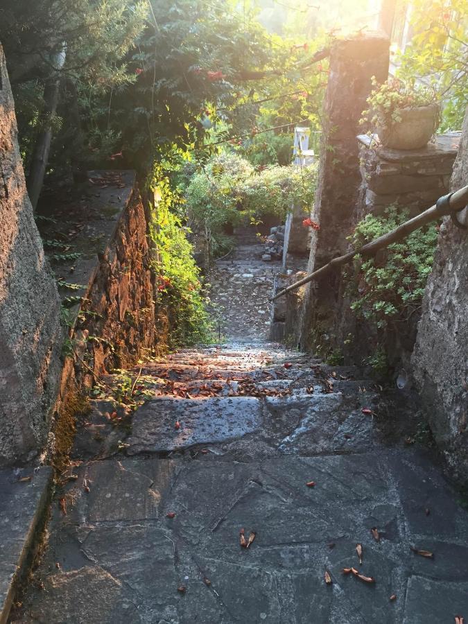 Il Frantoio Del Mesco - Levanto Dış mekan fotoğraf